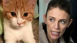 ראש ממשלת ניו זילנד ג'סינדה ארדרן ו חתול שלה נרצח