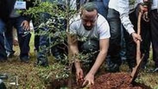 אתיופיה שתילת עצים אביי אחמד