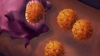 ננו-חיסון מגביר את הרגישות של סרטן העור לאימונותרפיה ומוביל להרג תאי הסרטן