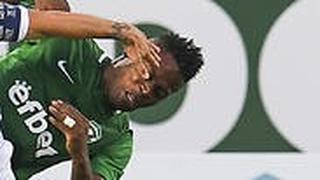 מאוויס צ'יבוטה