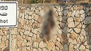 נער בן 17 מהיישוב מע'אר, חשוד בהתעללות בכלבה, אותה תלה על חומה ביישוב