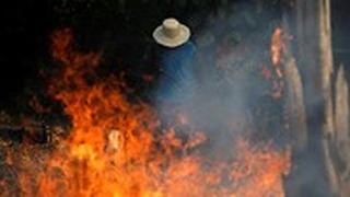 ברזיל שריפות ב אזור ה אמזונס גבר עובד ב שטח אש 
