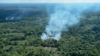 ברזיל שריפות ב אזור ה אמזונס תמונת לוויין