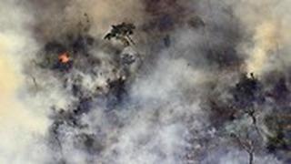 השריפות ביערות הגשם בברזיל