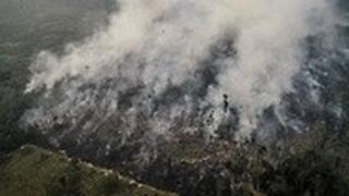 ברזיל שריפת שריפה אמזונס