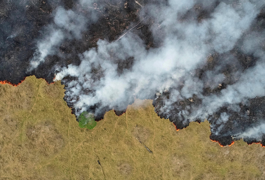 ברזיל שריפת שריפה אמזונס