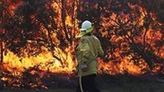 אוסטרליה שריפות שריפה אש ב ניו סאו'ת וויילס