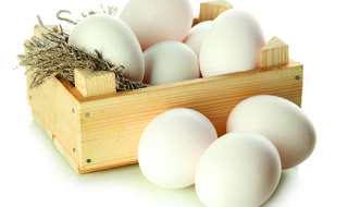 מחקר מצא: אין קשר בין ביצים למחלות לב