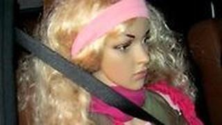 כך עובדים על נתיבי הקארפול