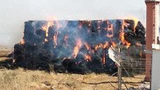 שריפה בשטחים חקלאים סמוך לקיבוץ בית אלפלא