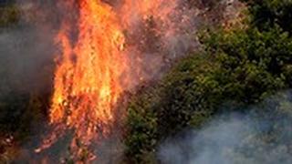 שריפות ענק בלבנון