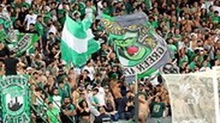 אוהדי מכבי חיפה