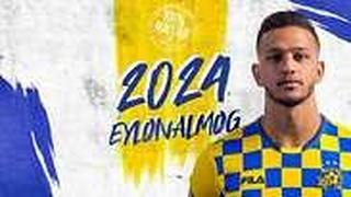 אילון אלמוג 