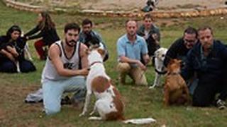 מחאת בעלי כלבים בירושלים