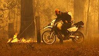 אוסטרליה שריפות שריפה אש ניו סאות' וויילס