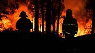 שריפה  שריפות ב מזרח אוסטרליה ניו סאות' ויילס