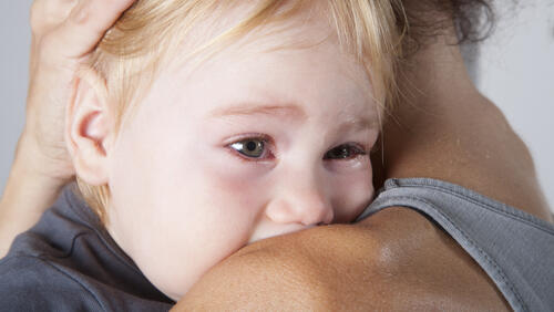 Фото: shutterstock