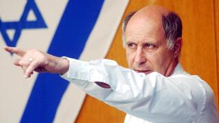 מיכאל איתן בפעילות פוליטית