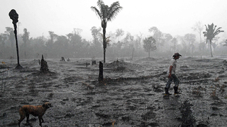 תמונות השנה AFP אזור שרוף אמזונס ברזיל מדינת רונדוניה 