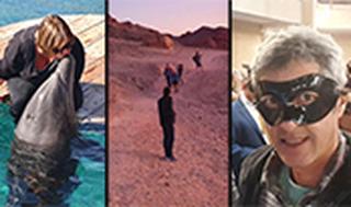 חופשת חורף באילת