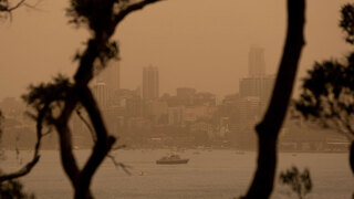 אוסטרליה שריפות שריפה עשן סידני אקלים התחממות