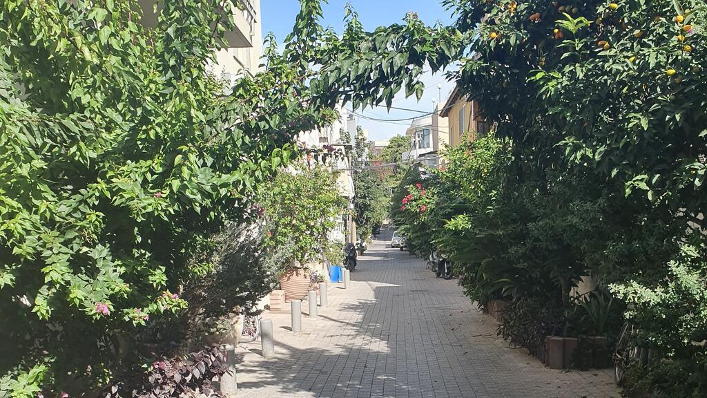 The Yemenite Quarter (Photo: Ofir Hauzman) בשביל האווירה: שכונת כרם התימנים