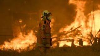 אוסטרליה שריפה שריפות ניו סאות' וויילס אזור סידני