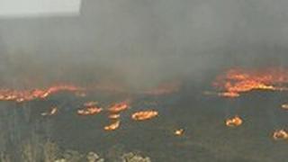 השריפות בגיפסלנד שבמדינת המחוז ויקטוריה באוסטרליה
