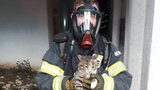 חתול חתולים חילוץ מ שריפה רמת גן 