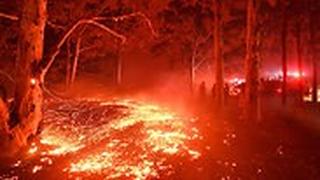 אוסטרליה נוורה שריפות שריפה ניו סאות' וויילס