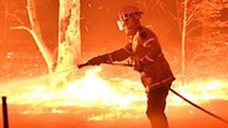 שריפות אוסטרליה אש ניו סאות' וויילס