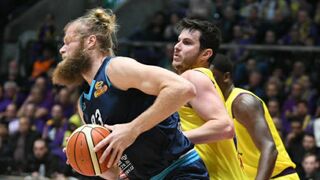 פניני שומר על שולדבראנד