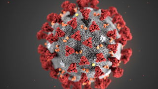 הדמייה של ה CDC של וירוס נגיף קורונה