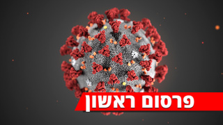 הדמייה של ה CDC של וירוס נגיף קורונה