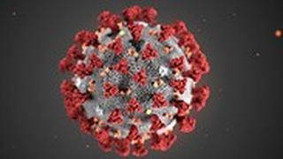 הדמייה של ה CDC של וירוס נגיף קורונה