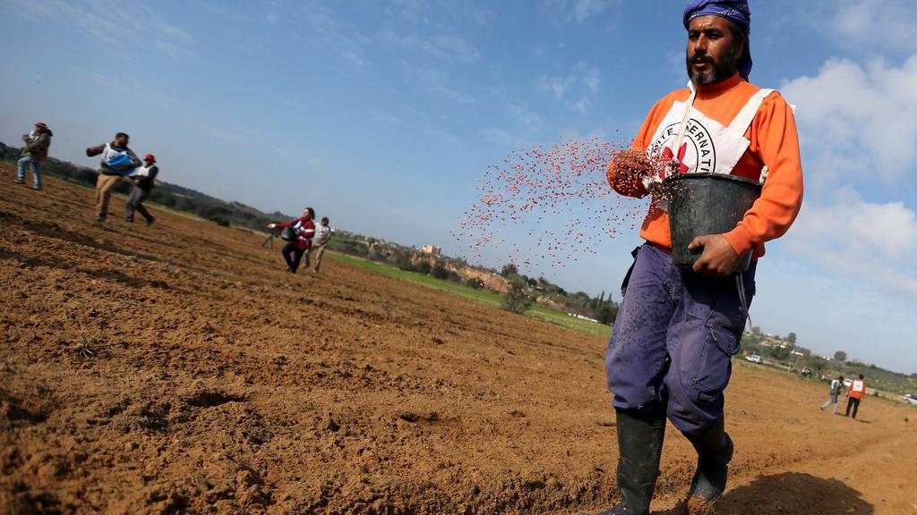 Palestinian farmers along the Israel-Gaza border