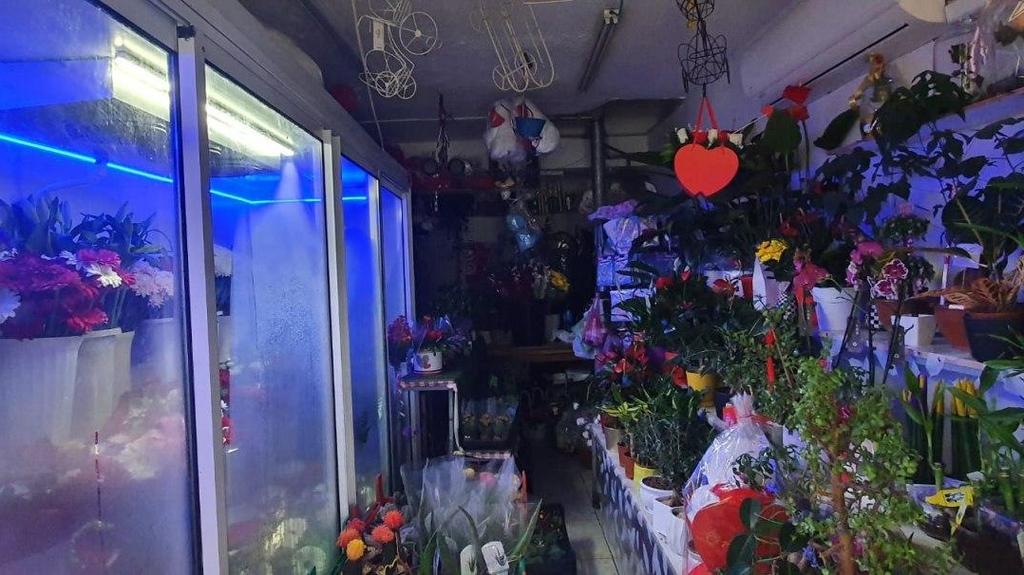 חנות הפרחים של המחבל מחיפה