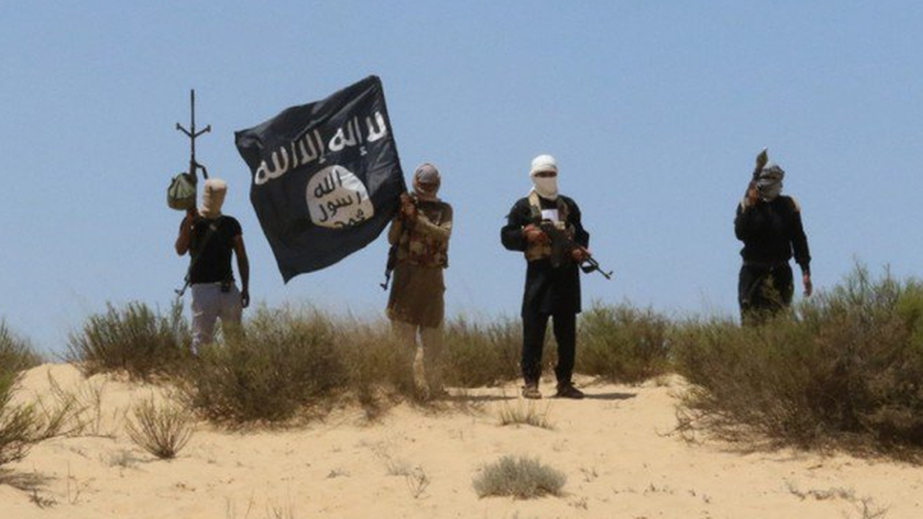 Islamic State fighters in the Sinai Peninsula 