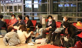 תיירים דרום קוריאנים בנתב"ג