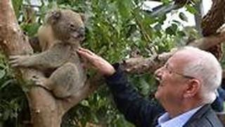 הביקור של ראובן ריבלין בגן חיות שיקומי לבעלי חיים באוסטרליה