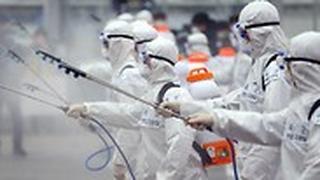 צוותי חיטוי ב דגו דרום קוריאה חשש מ נגיף וירוס קורונה