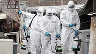 דרום קוריאה נגיף קורונה סיאול