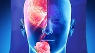 גירוי של ריח ורדים לנחיר אחד בזמן שינה, גרם לחיזוק הזיכרון באותו הצד של המוח
