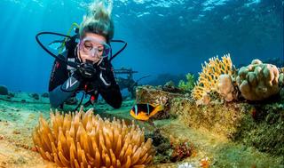מתחת למים תמיד יותר נעים: הצצה לפסטיבל הצלילה בים האדום  