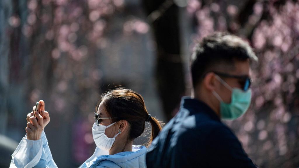 חגיגות האנאמי ב יפן טוקיו חשש מאיסור על הנאה מ פריחת עצי ה דובדבן בגלל ה קורונה נגיף