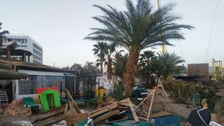 אילת