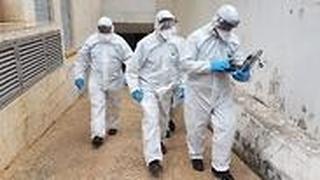 פעילות אכיפה של המשטרה ומשרד הבריאות