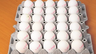 קרטון ביצים