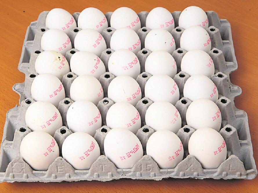 קרטון ביצים