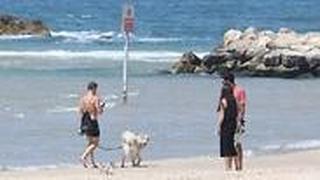 מבלים בחופי תל אביב